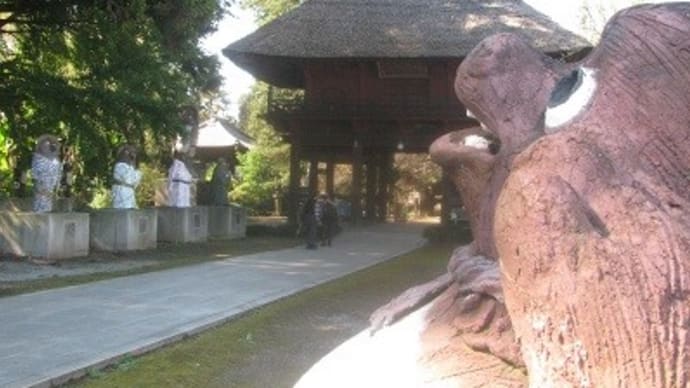 『茂林寺狸の11月場所BYあこがれ』