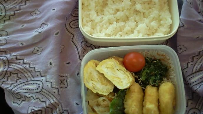 ６／３０の弁当