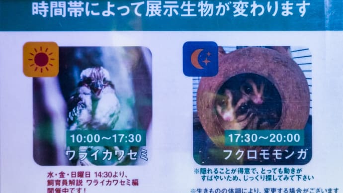 【川崎水族館】カワスイ オセアニア・アジアゾーン No.10~14
