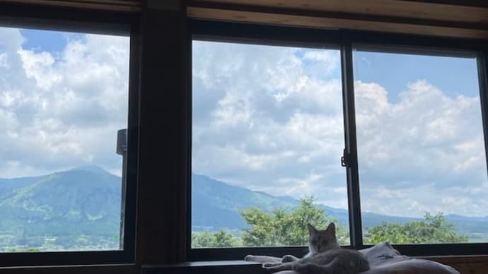 今日の山と猫と教習所と
