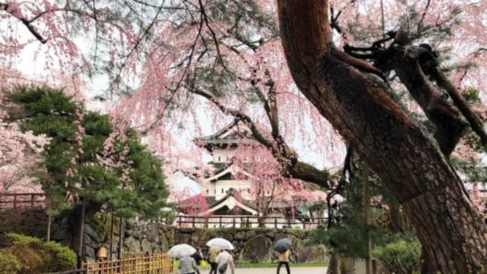 桜雨天守閣 (弘前城 本丸)
