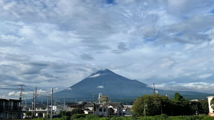 ホテイアオイを屋外に出しました