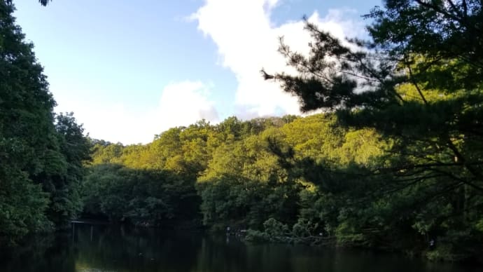 週末、息子とお散歩