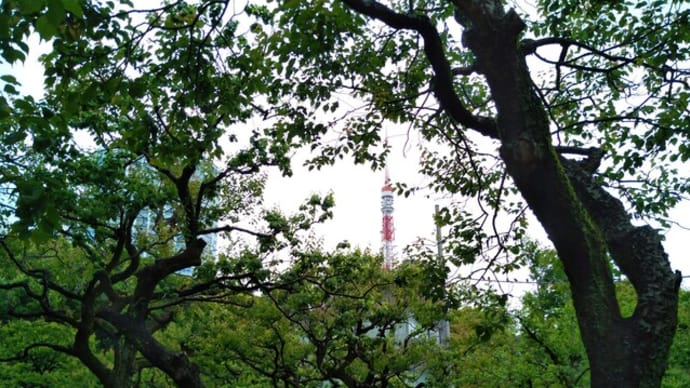 東京見物してきました