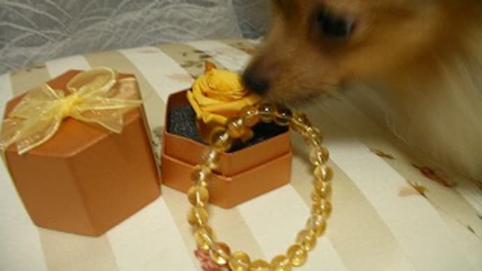 エナジーストーン