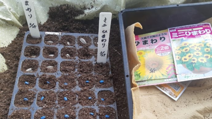 種まき&切れない草刈り機