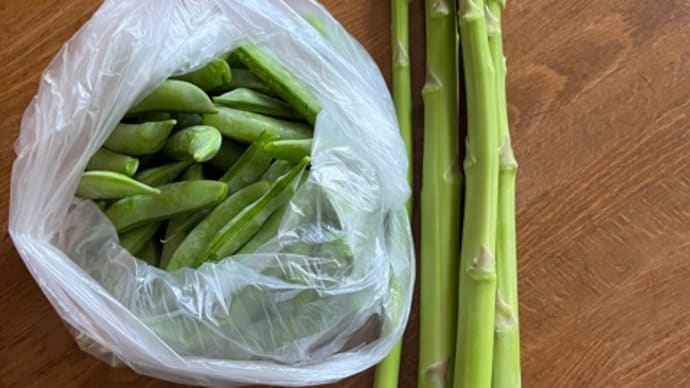 買ったもの、もらったもの 【ウィーンひとり旅・準備編】⑦