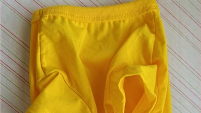 犬服リメイク*セリアのディズニーソックス利用