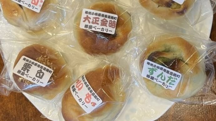 2024 小田原城 桜散策