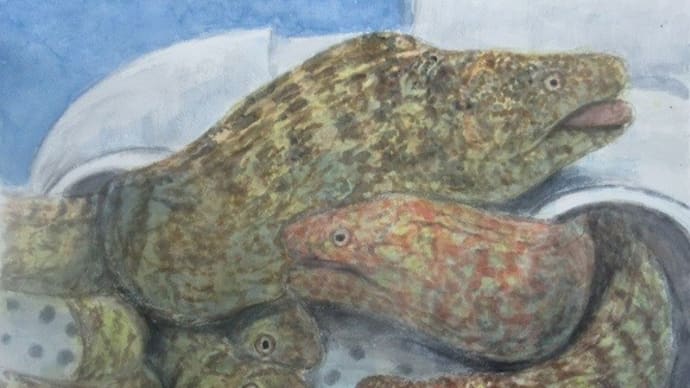 楽描き水彩画「むろと廃校水族館のウツボたち」
