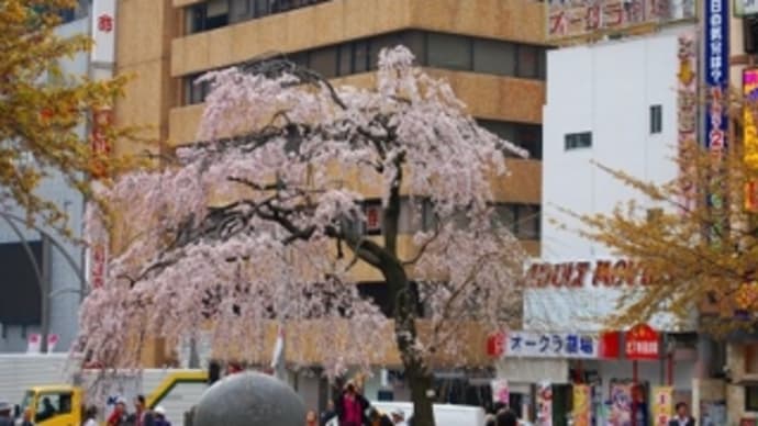 3月31日　上野公園