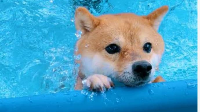 お風呂😃🛀💙