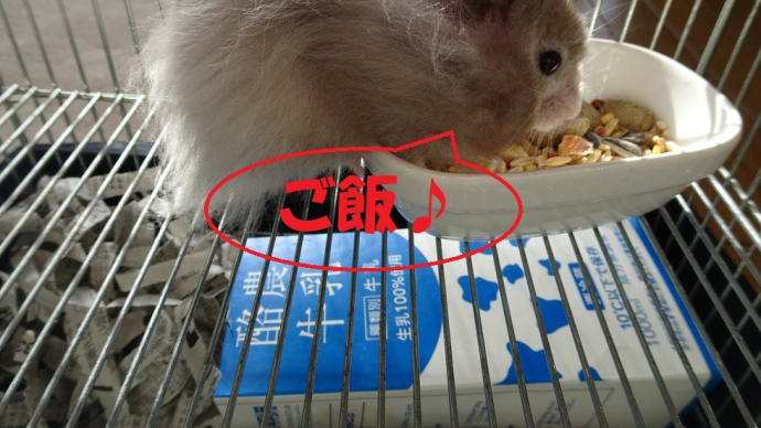 せっせと備蓄