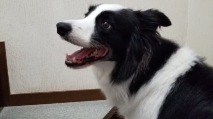 毎日同じように回収・・・の巻