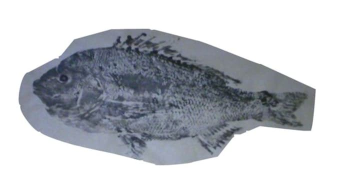瀬戸内の春を告げるイカナゴの不漁 & 静寂の釣りの中で察知する「終末期」の「地球寒冷化」/Fish poor catch, Global cooling in Apocalyptic time