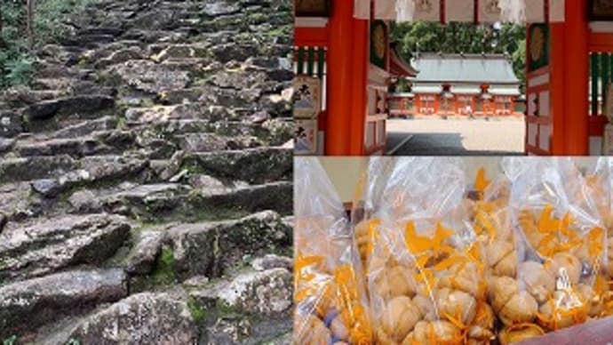 熊野古道へ行って来た~前編