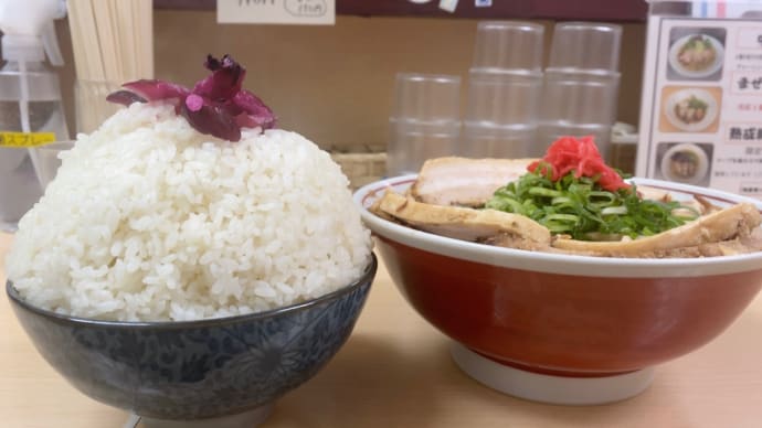 ラーメンたぬき屋"マンガ盛🍚の洗練"