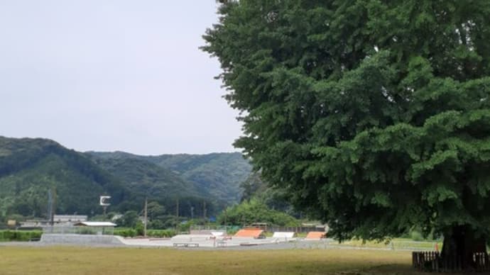 ちょっと隣町へ~コンクリートロードを求めて~(^○^)