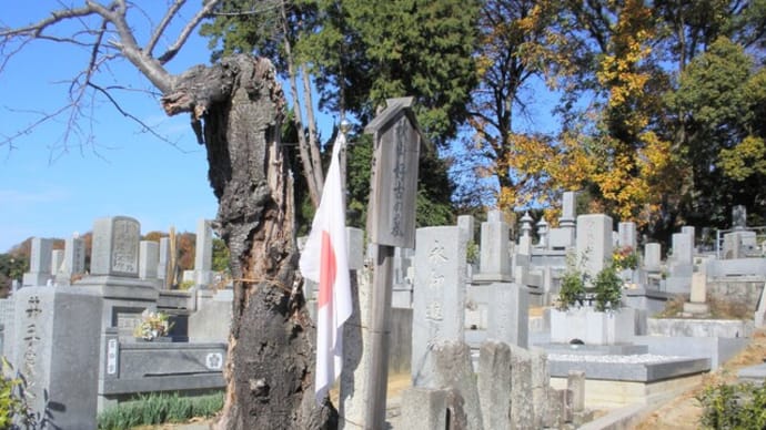 秋山好古の墓（愛媛県）