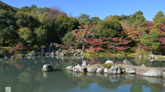 そうだ京都に行こう（その２・天龍寺）