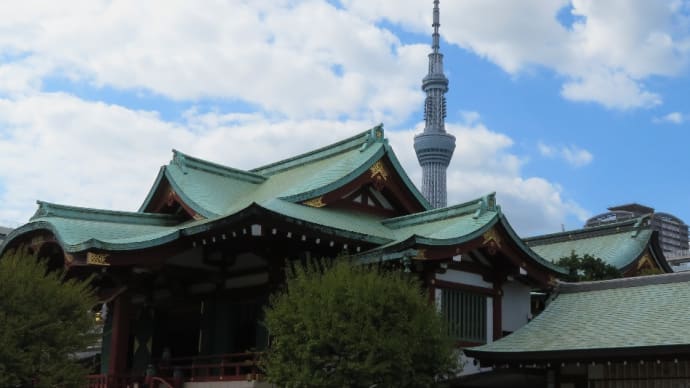 鷽、幸運を招く鳥「うそ」の神事は来年は行きたいね!定期的には来ているが!