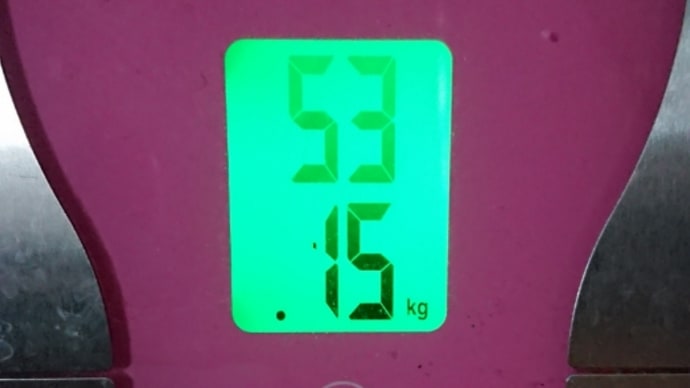 ダイエット158日目