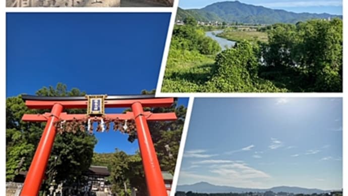 朝の散歩walkingから 鯉の話も