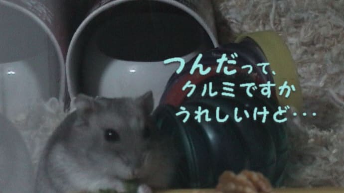 「身に詰まされた」って？