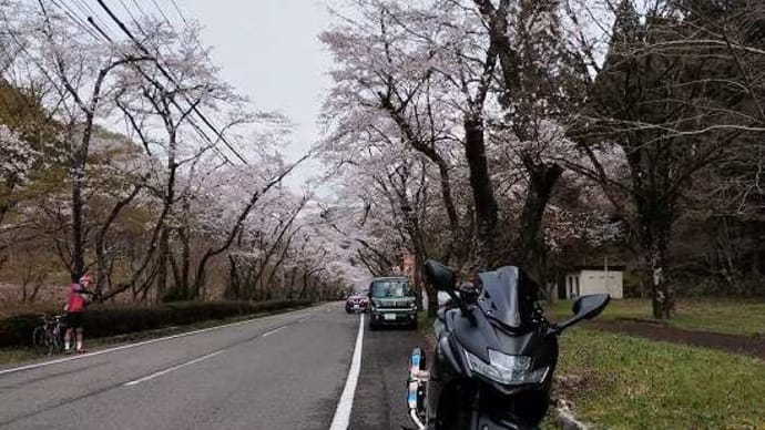 今シーズン初の板取ツーリング