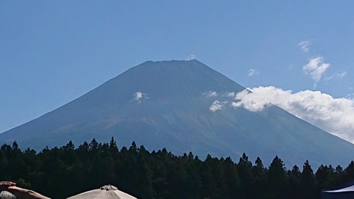人間向けマルシェ・おいしいすぱいす4