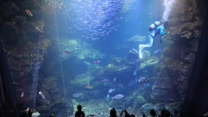 ひねり技水族館