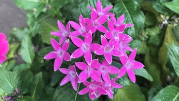 夏の終わり。