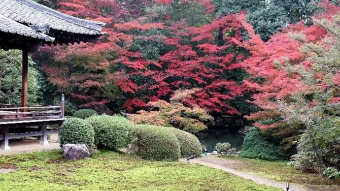 随心院門跡　紅葉のお庭　絶世の美女ゆかりの地