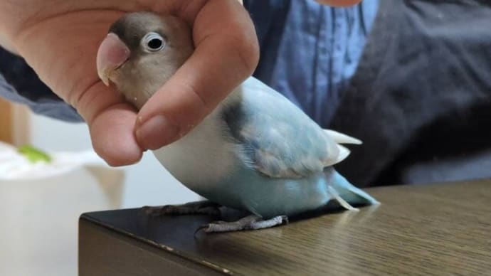 春休みは終わるけれどGWもあるよね