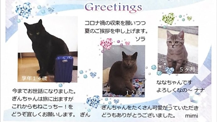 猫友さんからの暑中見舞状