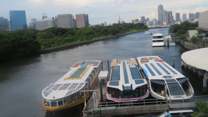 昨年6月にコロナ禍でオープン、都心の中でも緑と水が快適な心地よい空間です!