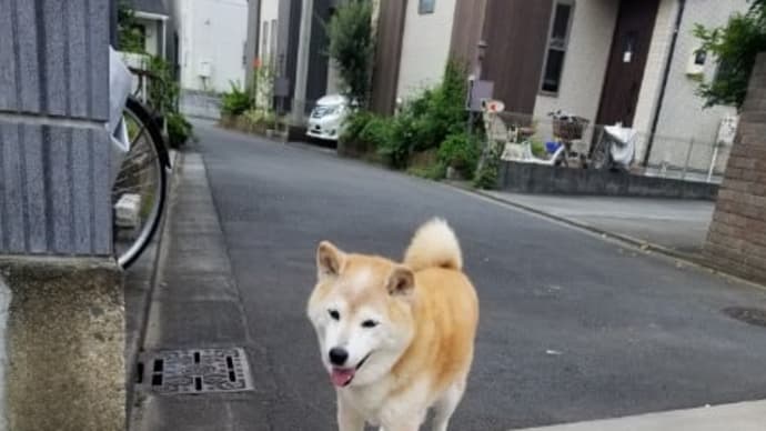 クリンへの想いは尽きなくて・・・11