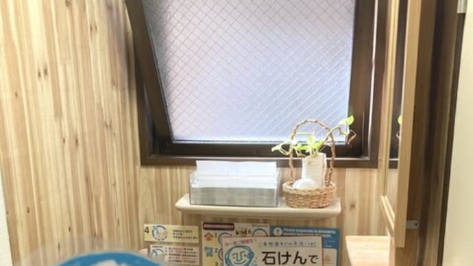 自分の英語に自信がない…自分の間違いに自分で気づける基礎英語力をつける第一歩!English Plusレッスン受講生用2024年4月第3週英語レッスンの復習