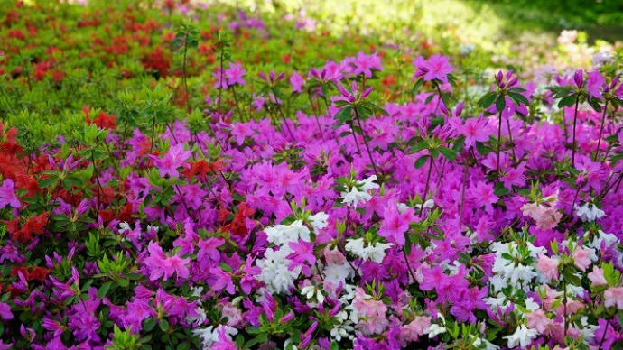 花の金曜日、過ぎしサラリーマン時代のささやかな思いを馳せれば・・。