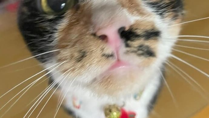 復帰しました!