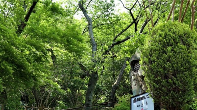 花月看板猫ちゃん達アーカイブス ~ 2019年秋の様子