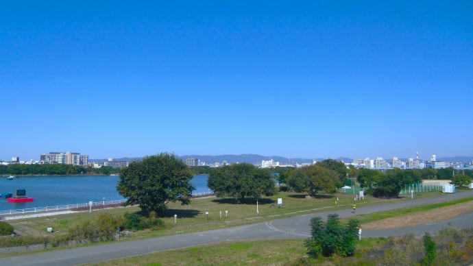 きょうの風景 ・・・ 11月8日 花の公園でまたまた空振り