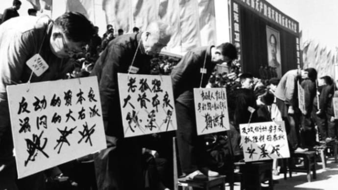 新・文化大革命を目論む中国指導者がラ・マンチャの男に見えてきた