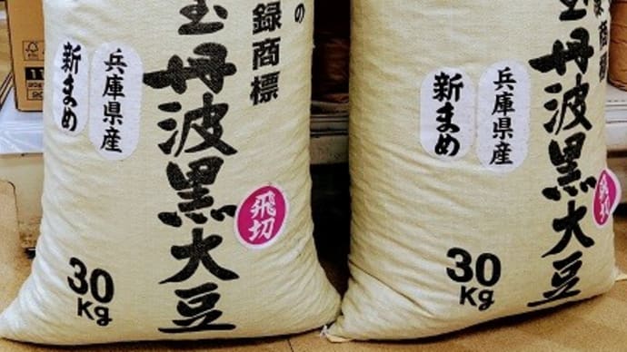 5年産丹波黒豆入荷