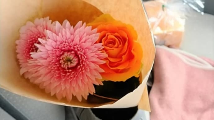 花と食パンと指輪とことり