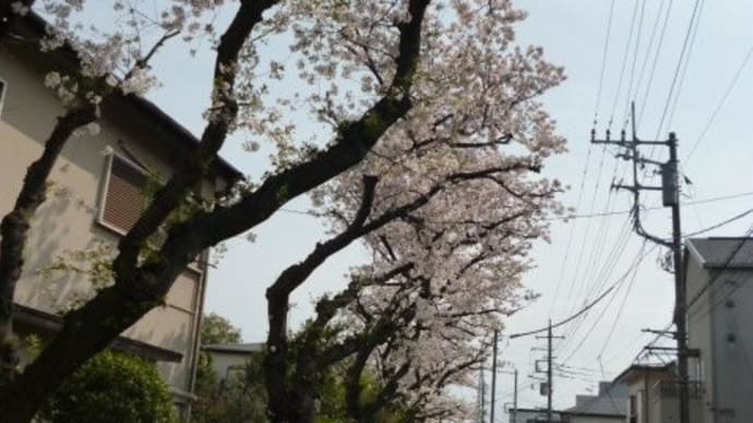 相模大堰(さがみおおぜき)を通ってみた。