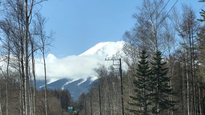 無事、帰宅しました。