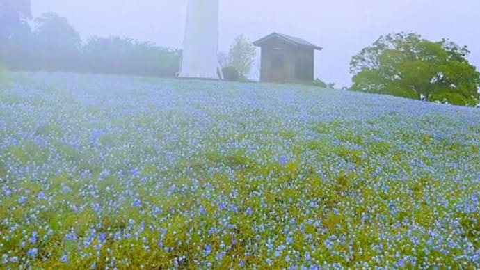GW最終日