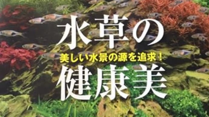 アクアプランツNo.16