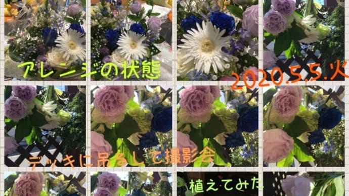 連休最終日